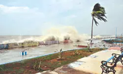 Yale study: 56% in Bengal have faced severe storms, the highest in India