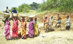 ‘Person-days generated under MGNREGS dropped in 2025-26’ ‘Person-days generated under MGNREGS dropped in 2025-26’