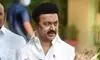 TN CM Stalin says no rest until amending Constitution to fix timelines for Governors