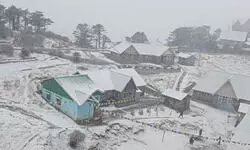 Sandakphu: 72-year-old tourist from Kolkata dies