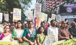 BLOs withdraw stir as CEO assures ‘no action’ over ‘digitisation delays’