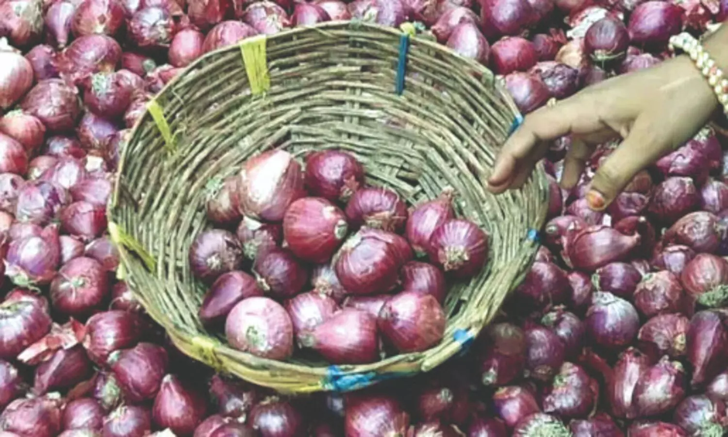 Malda exporters suffer heavy losses as Bangladesh halts onion imports