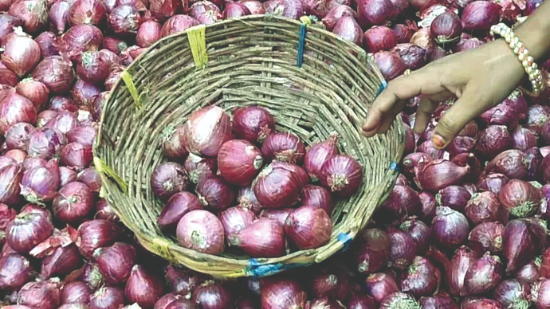 Malda exporters suffer heavy losses as Bangladesh halts onion imports