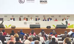 A Missed Opportunity