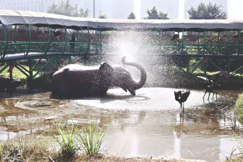 Noida’s Jungle Trail Park opens, entry set at ₹120/person