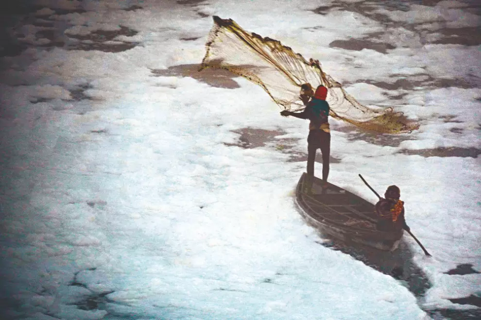 ‘Untreated sewage and delayed projs behind Yamuna pollution’