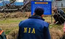 NIA raids 8 locations in Kashmir in white-collar terror module case