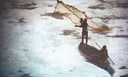 ‘Untreated sewage and delayed projs behind Yamuna pollution’