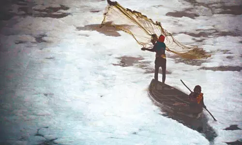 ‘Untreated sewage and delayed projs behind Yamuna pollution’ ‘Untreated sewage and delayed projs behind Yamuna pollution’