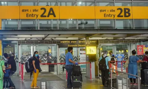 Air India, other airlines face check-in system glitches Air India, other airlines face check-in system glitches