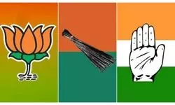 Delhi MCD bypolls: BJP wins 7 wards, AAP 3, Congress opens account