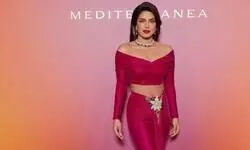 As an actor & producer, my hats are different: Priyanka Chopra on backing Born Hungry