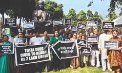 TMC MPs stage protest in Parl premises over pending dues