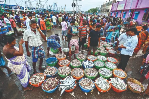 India, Russia hold talks to expand fisheries, meat and dairy trade India, Russia hold talks to expand fisheries, meat and dairy trade