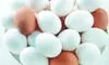 State orders raids amid rising egg prices to curb illegal hoarding