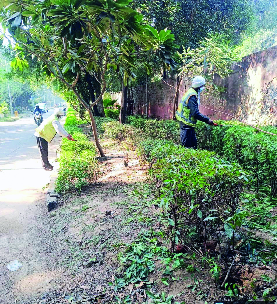 NDMC intensifies cleanliness efforts with daily multi-department drives