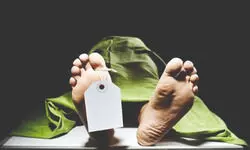 Nation Briefs Nation Briefs