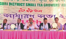 Tea Board warns small growers against using harmful pesticides