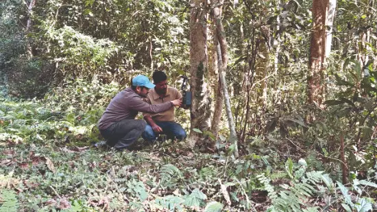 Mega 4-month wildlife survey begins at Buxa Tiger Reserve Mega 4-month wildlife survey begins at Buxa Tiger Reserve