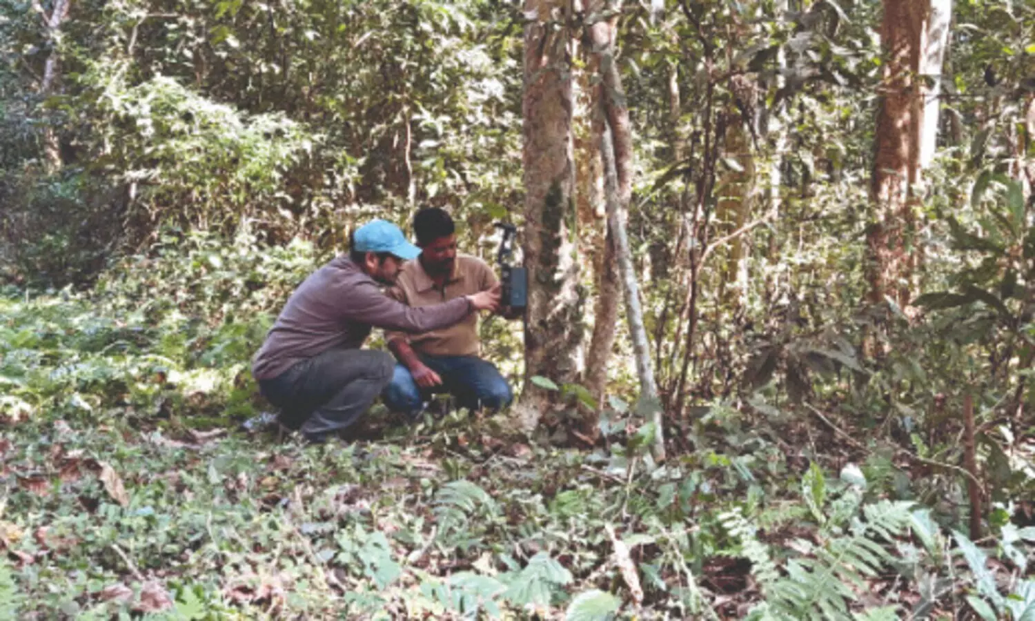 Mega 4-month wildlife survey begins at Buxa Tiger Reserve