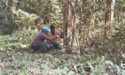 Mega 4-month wildlife survey begins at Buxa Tiger Reserve