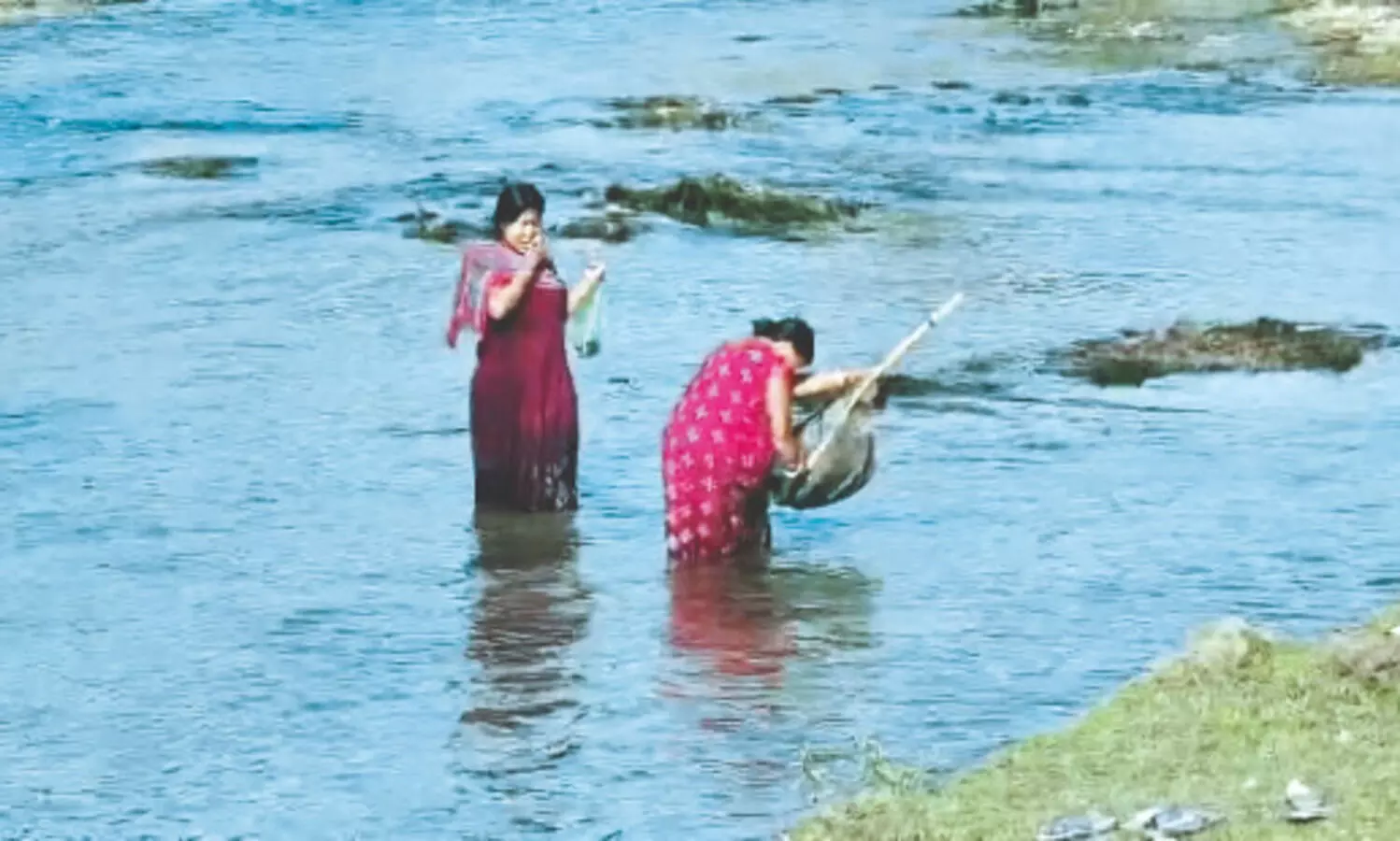 A day after Teesta tragedy, fresh mass fish deaths reported in Rangati River