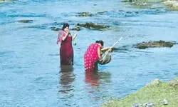 A day after Teesta tragedy, fresh mass fish deaths reported in Rangati River