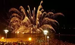 Fireworks banned inside North Goa nightclubs, hotels after fire kills 25 Fireworks banned inside North Goa nightclubs, hotels after fire kills 25