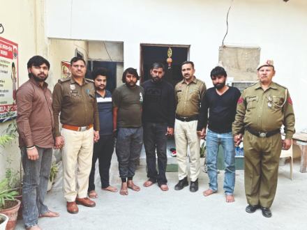 Six held for feeding chicken momos to cows in Gurugram