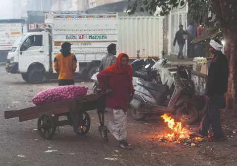 IMD warns of cold wave, dense fog across India IMD warns of cold wave, dense fog across India