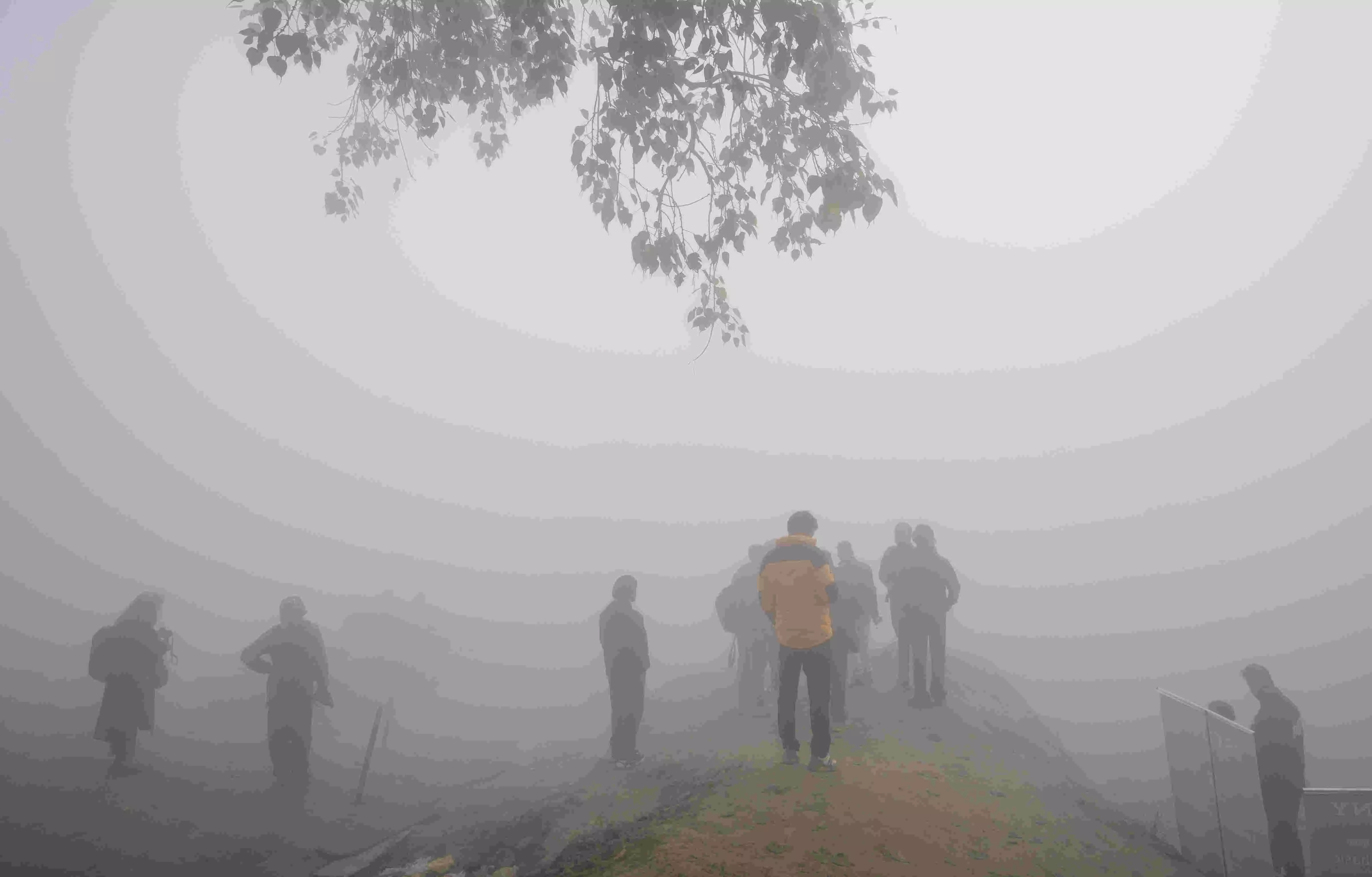 Delhis air quality remains severe at 452 as thick smog blankets the capital Delhis air quality remains severe at 452 as thick smog blankets the capital