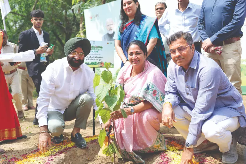 From Neglect to Nature From Neglect to Nature