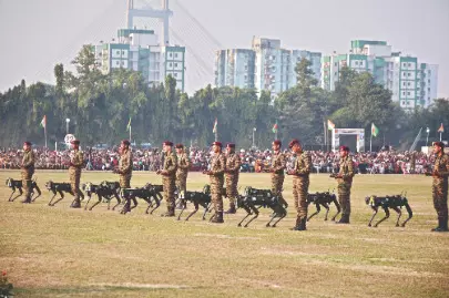 Vijay Diwas: Eastern Command holds military tattoo in city Vijay Diwas: Eastern Command holds military tattoo in city