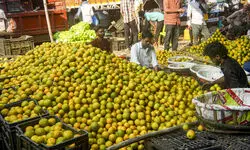 Wholesale inflation remains in negative territory at -0.32% in Nov, despite monthly price uptick Wholesale inflation remains in negative territory at -0.32% in Nov, despite monthly price uptick