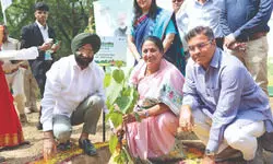 From Neglect to Nature From Neglect to Nature