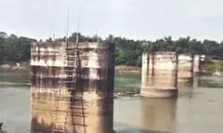 Tree compensation dispute stalls Balurghat–Hili rail expansion