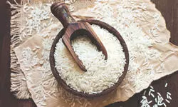 ‘India exports expensive basmati rice to US, no question of dumping’ ‘India exports expensive basmati rice to US, no question of dumping’