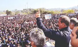 ‘Chitta’ termite to be wiped out from Himachal: Sukhu