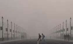 Delhi govt directs maximum 50% staff to physically attend private offices under GRAP IV, punishment for violations