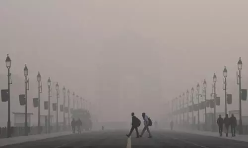 Delhi govt directs maximum 50% staff to physically attend private offices under GRAP IV, punishment for violations