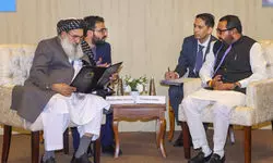 India-Afghanistan hold discussions to strengthen cooperation in traditional medicine India-Afghanistan hold discussions to strengthen cooperation in traditional medicine