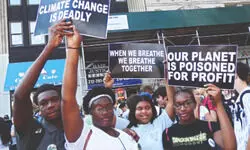 Dirty Underside of Green Transition Dirty Underside of Green Transition