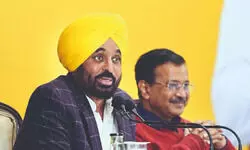 Punjab: AAP wins big in rural body elections