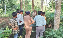 Leopard attacks on kids reported year-round in Dooars tea estates Leopard attacks on kids reported year-round in Dooars tea estates