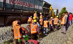 Elephant-train collision in Assam: Injured calf dies, toll rises to 8
