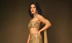 What happens commercially does hurt you a little: Shanaya Kapoor