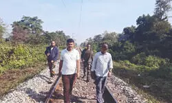 Jaldapara Forest Division calls on youth to participate in wildlife conservation