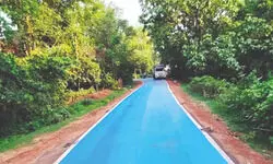 Bengal to build about 1,759 km roads using plastic waste