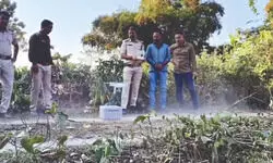 Panic grips Dooars tea gardens amid leopard, elephant sightings