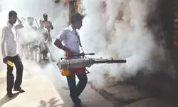 Capital records four dengue deaths in ‘25 as vector-borne cases decline